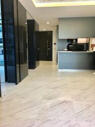 Cairnhill Nine (D9), Apartment #481245591